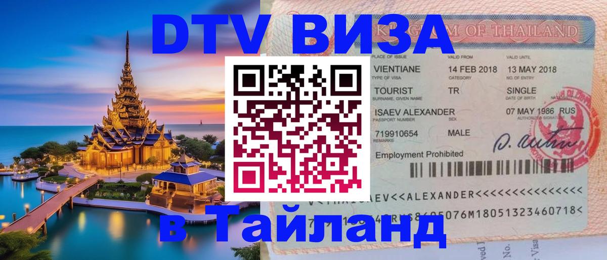 Оформление DTV визы под ключ: стоимость и тарифы, только загранпаспорт - 